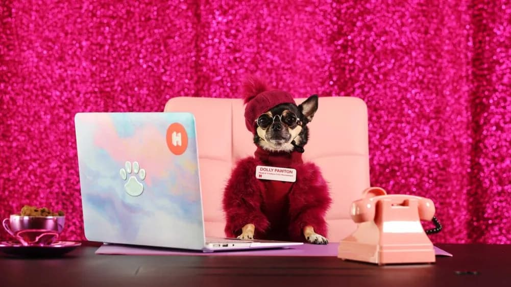 Influencer Marketing Campaign