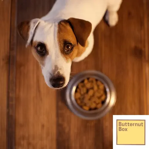 Butternut Box hit 3.4M views, beat CPA target by 47%