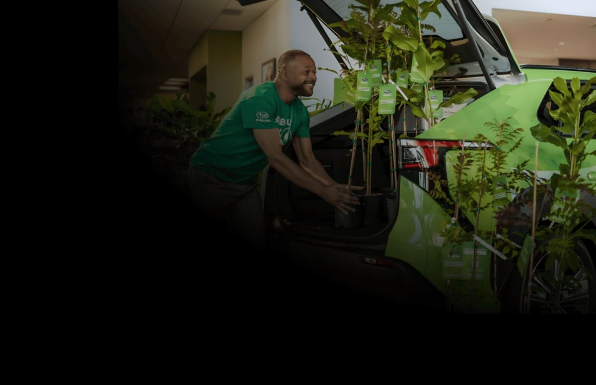How Subaru planted 100,000 trees, reached 18.9M