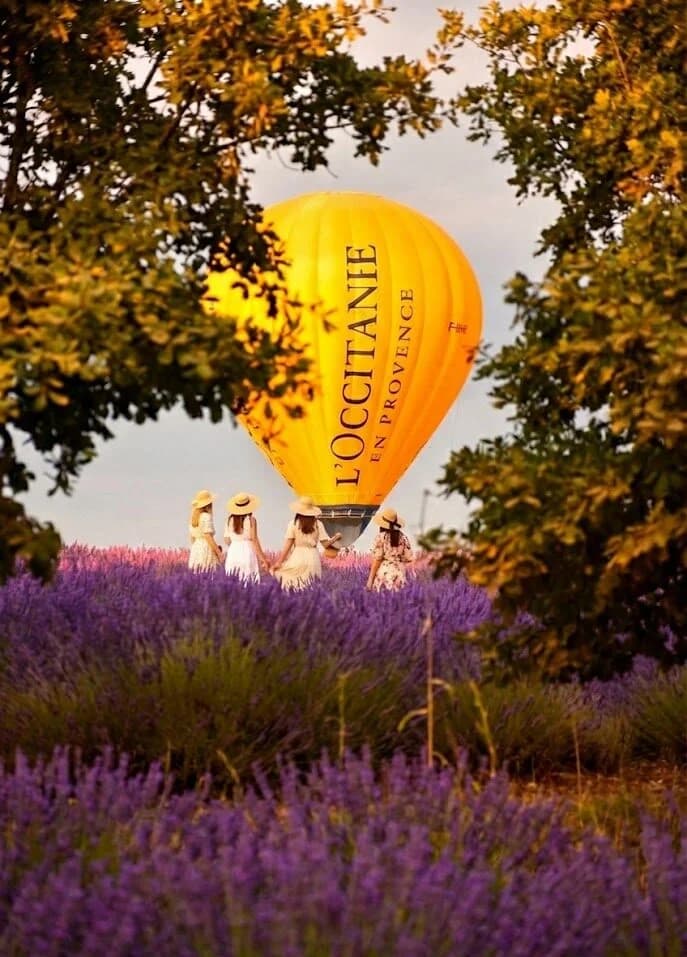 L'Occitane Provence trip reaches 2.4M followers