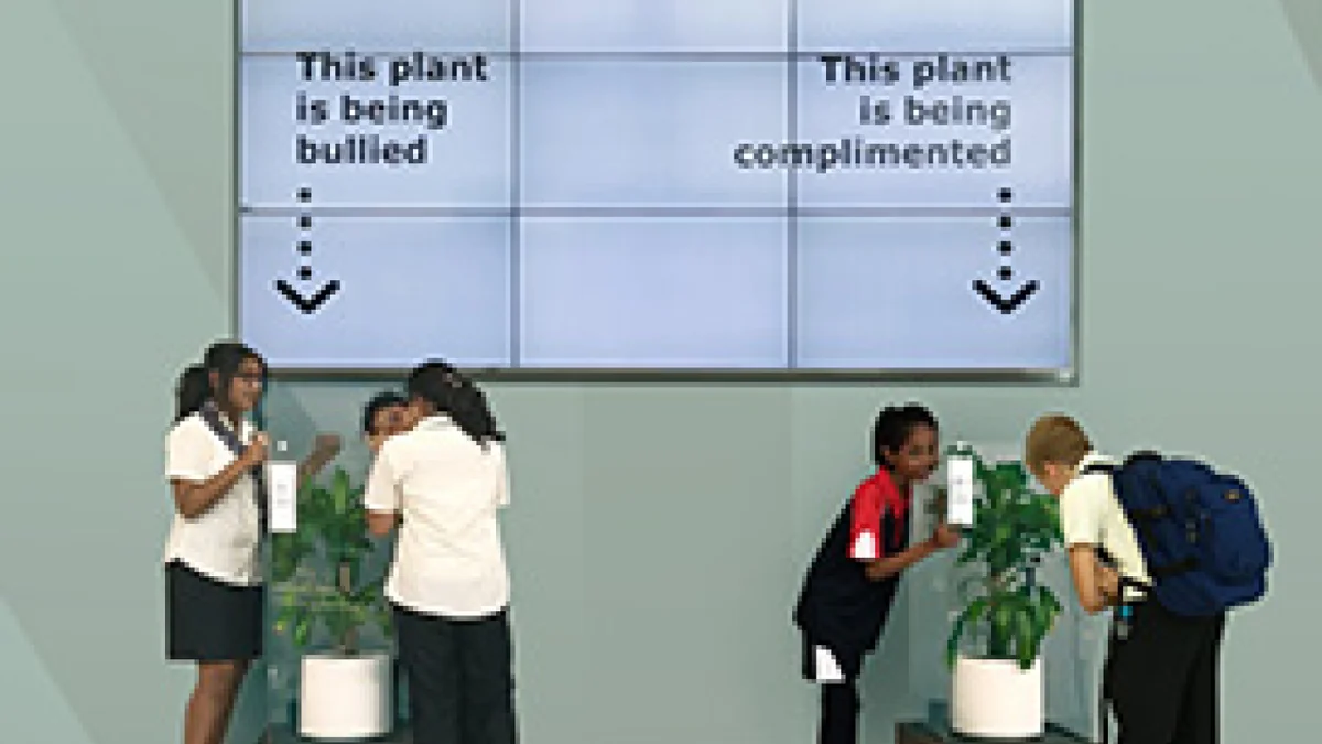 Bully a Plant