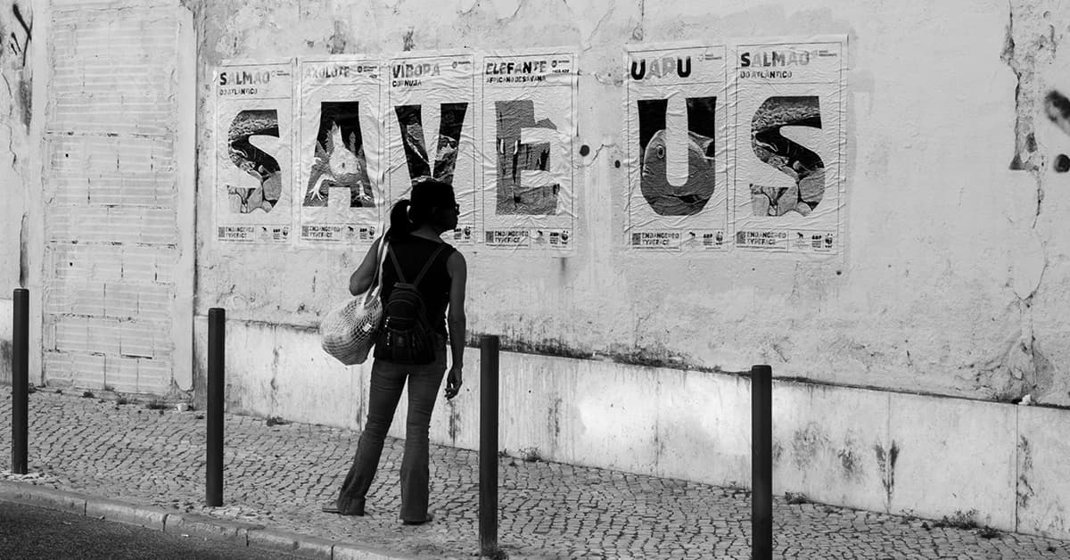 The Endangered Typeface