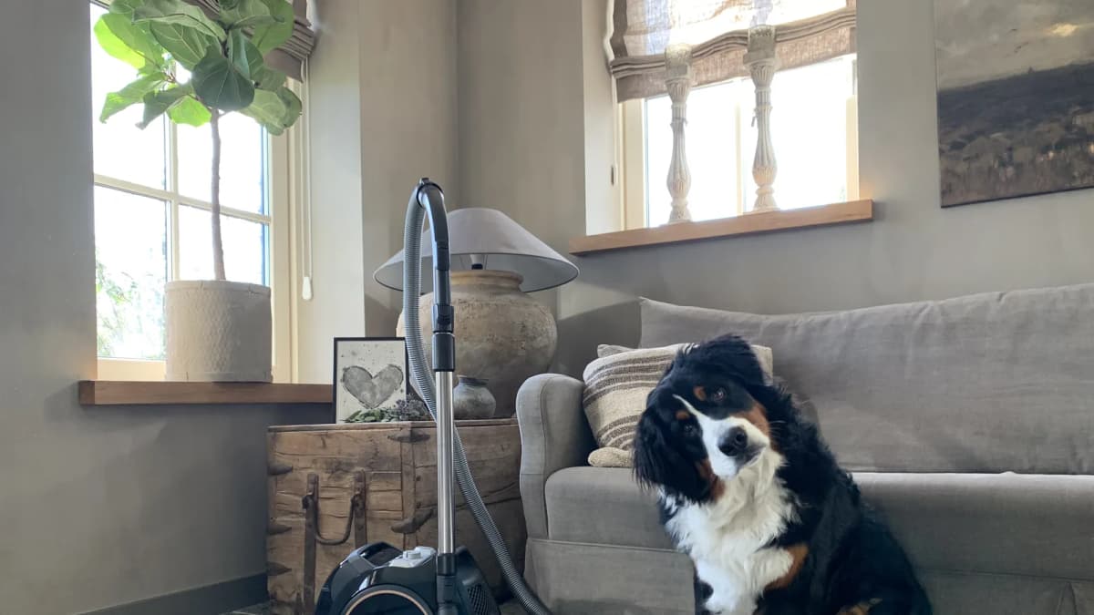 How Miele Achieved 50K Clicks in 5 weeks
