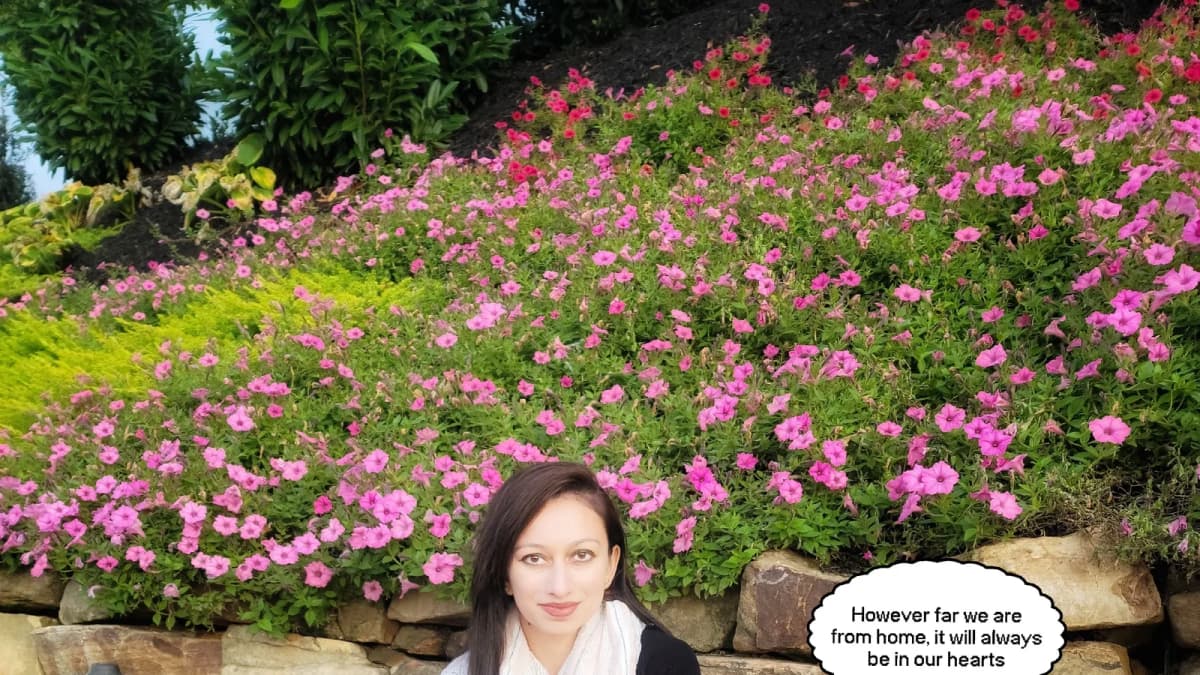 How Robogee managed to 2x their audience in 30 days