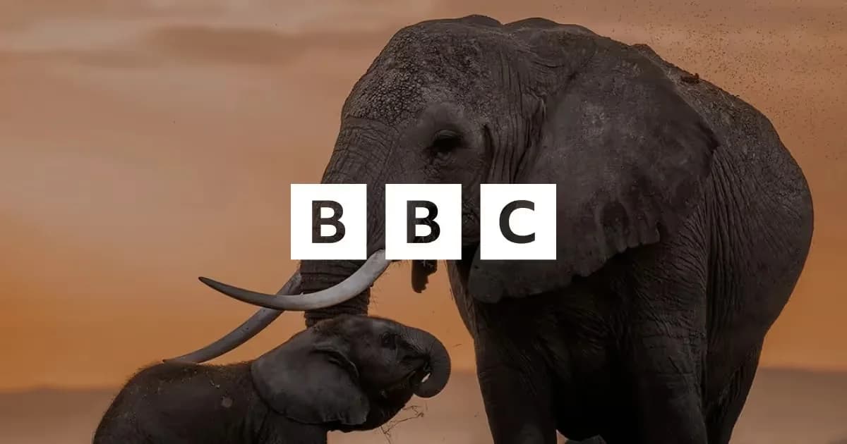 BBC Studios boosted Instagram engagement 229%