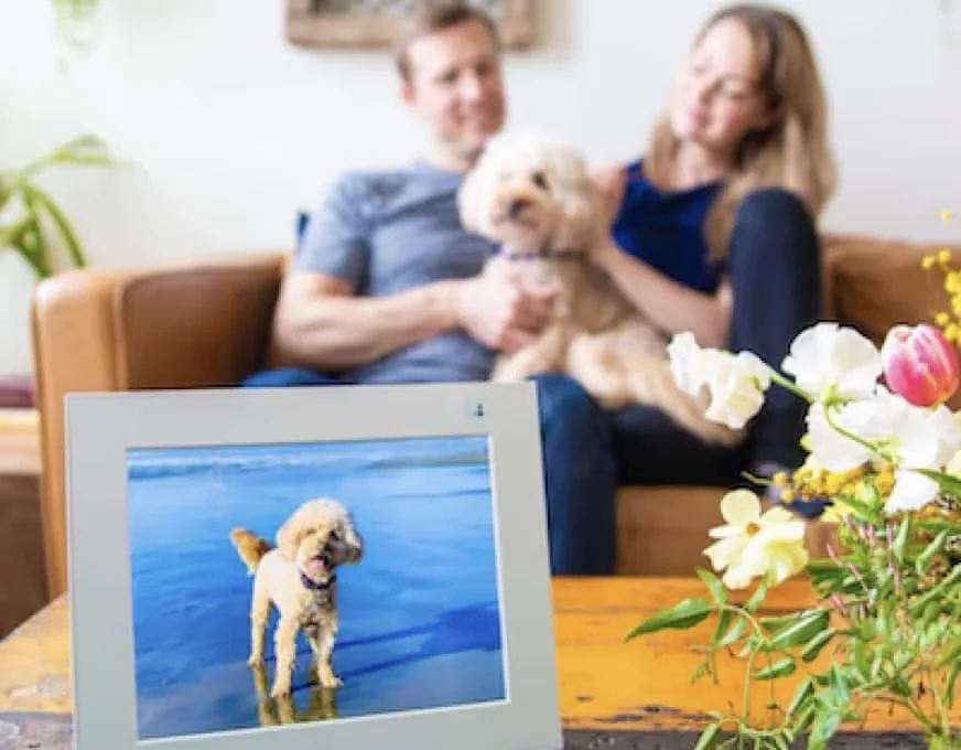 Aura Frames grew sales 20% with 13K influencer videos