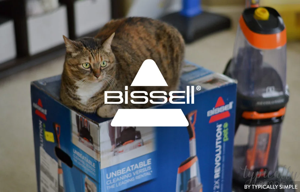 BISSELL's pet owner demos drove 8.9M impressions